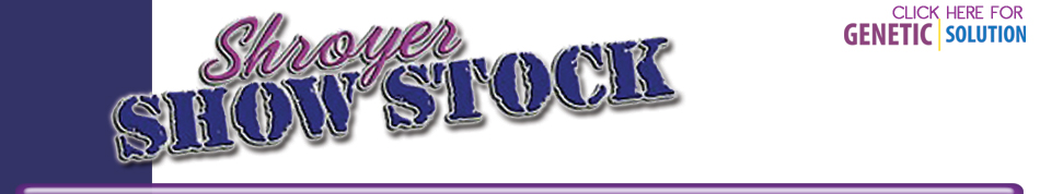Shroyer Show Stock