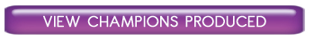 View Champions Produced by Kool-Aid