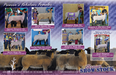 Shroyer Show Stock