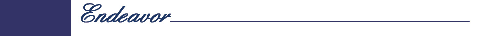 Endeavor