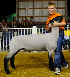 Shroyer Winner