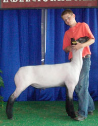 Shroyer Winner
