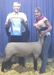 Shroyer Winner
