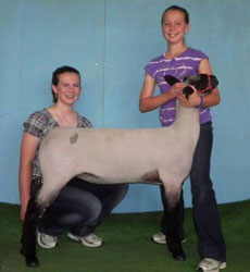 Shroyer Winner