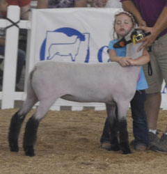 Shroyer Winner