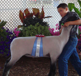 Shroyer Winner