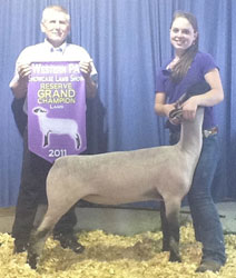 Shroyer Winner