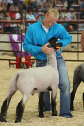 Shroyer Winner