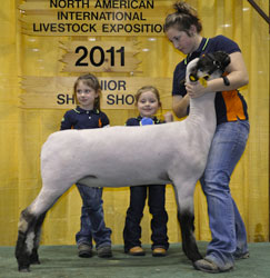 Shroyer Winner
