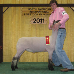 Shroyer Winner