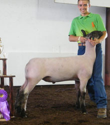 Shroyer Winner