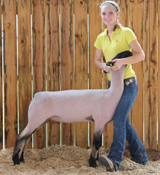Shroyer Winner