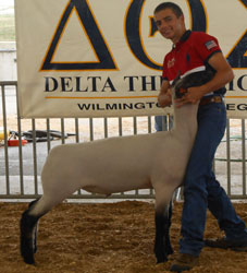 Shroyer Winner
