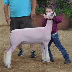 Shroyer Winner