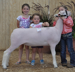 Shroyer Winner