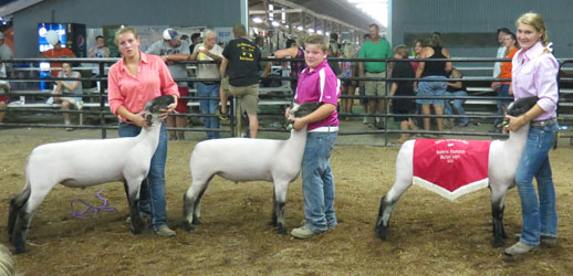 Shroyer Winner