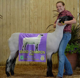 Shroyer Winner