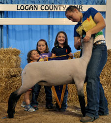 Shroyer Winner