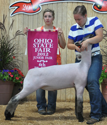 Shroyer Winner