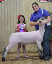 Shroyer Winner