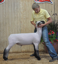 Shroyer Winner