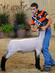 Shroyer Winner