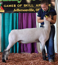 Shroyer Winner