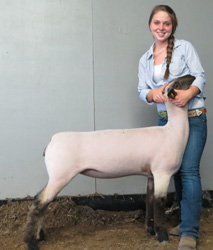 Shroyer Winner