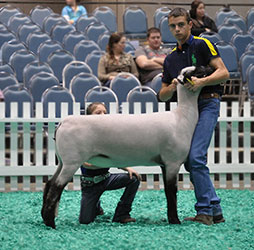 Shroyer Winner