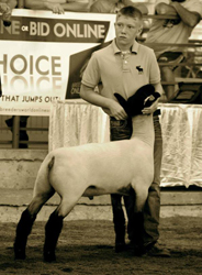 Shroyer Winner