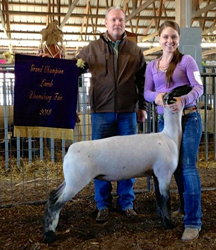 Shroyer Winner