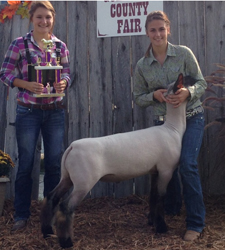 Shroyer Winner