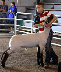 Shroyer Winner