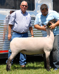 Shroyer Winner