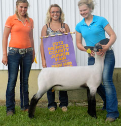 Shroyer Winner