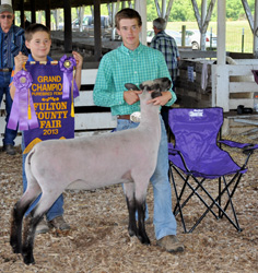 Shroyer Winner