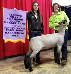Shroyer Winner