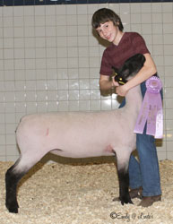 Shroyer Winner