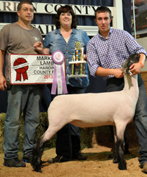 Shroyer Winner