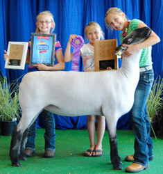 Shroyer Winner