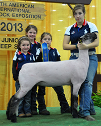 Shroyer Winner