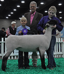 Shroyer Winner