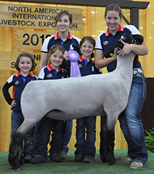 Shroyer Winner
