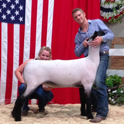 Shroyer Winner