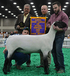 Shroyer Winner