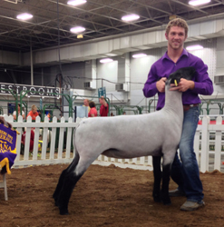 Shroyer ShowStock