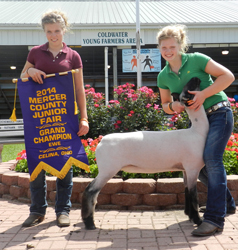 Shroyer ShowStock