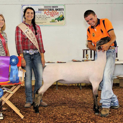 Shroyer ShowStock