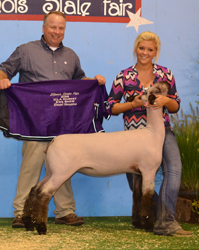 Shroyer ShowStock