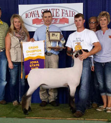 Shroyer ShowStock